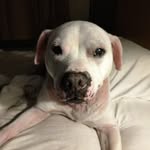 Randi Wells - @randilwells - Instagram