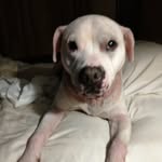 Randi Wells - @randilwells40 - Instagram