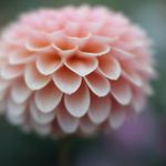 Randi Wells - @lifeisart_randi - Instagram