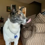 Randy Whitney - @xring44126 - Instagram