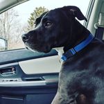 Frederick Randolph Foster III - @iglessrandy - Instagram