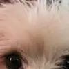 HowardRandolphUF - @howardrandolphuf - TikTok