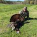 Bradley Humphrey - Facebook