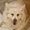 randolphknight381 - @randolphknight381 - TikTok
