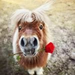 Randolph Murray - @randolph.murray.3975 - Instagram