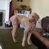 fortnite!!!!! - @randolphparker11 - TikTok