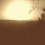 Randolph Paul - @paul_randolph - Instagram