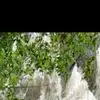 RandolphPaulaVmPSfS - @randolphpaulavmpsfs - TikTok