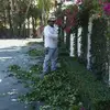 randolphoperez - @randolphoperez - TikTok