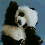 Randolph Ramirez - @randolph.ramirez.7 - Instagram