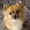 randolphreed1 - @randolphreedl - TikTok