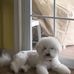 Randolph Smith - Facebook
