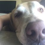 Stanley Randolph - @stanleyrandolph6 - Instagram