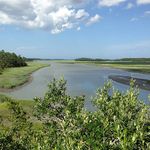 Randolph Stewart - @blufftoncom - Instagram