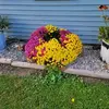 Zelda Randolph Cassel Wolfe - @zelda.randolph.ca - TikTok