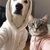 Randy Abel - @randy.abel4 - TikTok