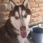 Randy Abel Esqueda Montalvo - @randyabelesquedamontalvo - Instagram