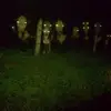 randyabney3 - @randyabney3 - TikTok
