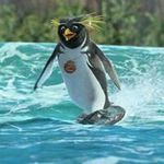 Randy Adam - @randy1146 - Instagram
