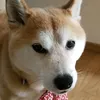 randy_daddy - @randy_daddy - TikTok