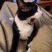 Randy Aiken - Facebook