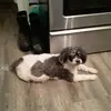 randyaiken - @randyaiken - TikTok