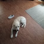 Randall Ainsworth - Facebook