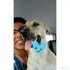 Alfredo Randy - @alfredorandy - TikTok