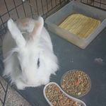 Randy Allard - @randy.allard.56 - Instagram