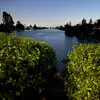randy.alternate?! - @randy.altt - TikTok
