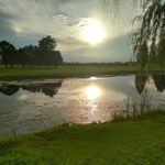 Randy - @altman.randy - Instagram