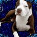 Randy Altman - Facebook