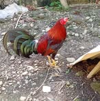 Randy Andres - Facebook
