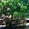 Randy Andres - @randy.andres44 - TikTok