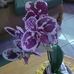 Randy Arends - Facebook