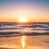 randyasher00 - @hypehouse_3638 - TikTok