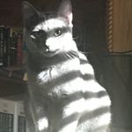 Randy Ashmore - @afv31416 - Instagram
