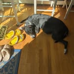 Randy Rasmussen - @randylrasmussen - Instagram