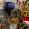 Randy - @randy_baker65 - TikTok