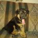 Randy Barham - Facebook