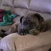 randybarnette58 - @randybarnette58 - TikTok