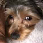 Randy Barnwell - @barnwell.randy - Instagram