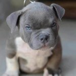 randy barrera - @123_randy - Instagram