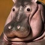 Randy Barrera 👉🥴👈 - @randy.hippo - Instagram