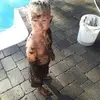 randybarry72 - @randybarry72 - TikTok