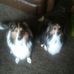 Randy Barthel - Facebook