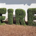 randy beach - @beach491 - Instagram
