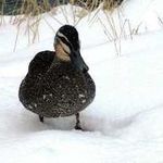 randy Beatty - @randybeatty1 - Instagram