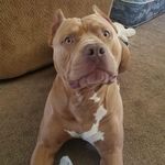 Randy J Beatty - @brjoe7 - Instagram