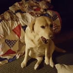 Randy Bedard - @randy.bedard.796 - Instagram